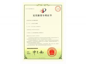 Patent certificate 1