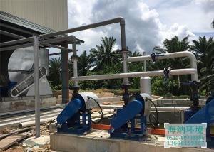 Biomass (palm shell) boiler dust removal project